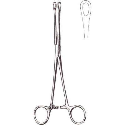 Gall Bladder, Kidney, Urological