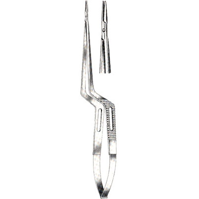 Micro-Neurosurgery