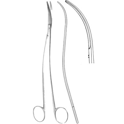 Cardiovascular Surgery