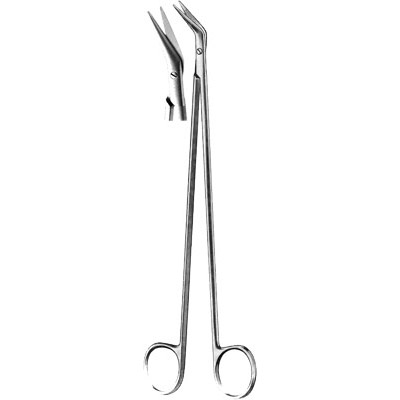 Cardiovascular Surgery
