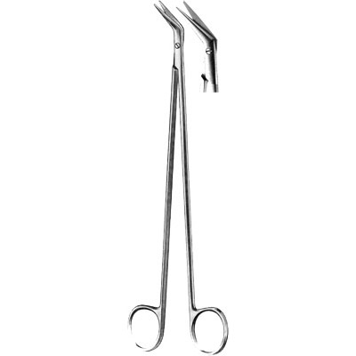 Cardiovascular Surgery