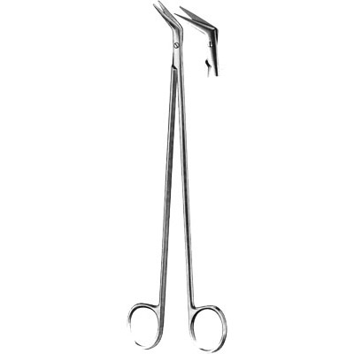 Cardiovascular Surgery