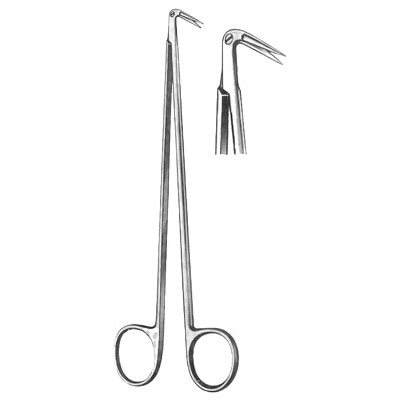 Cardiovascular Surgery