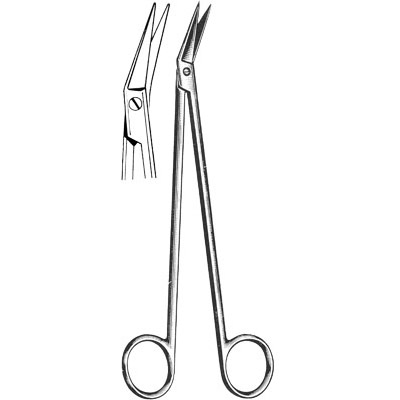 Cardiovascular Surgery