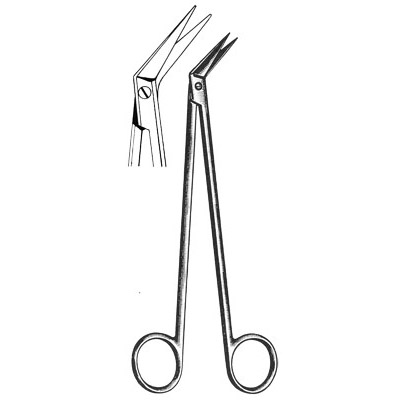 Cardiovascular Surgery