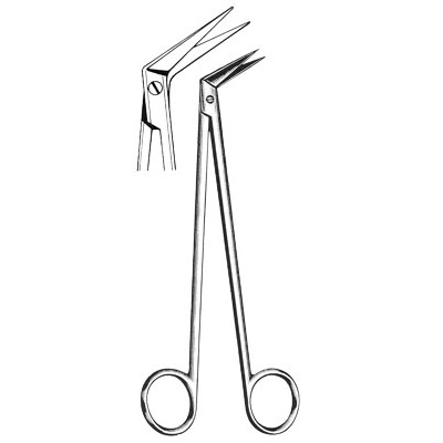 Cardiovascular Surgery