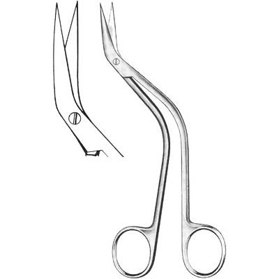 Cardiovascular Surgery