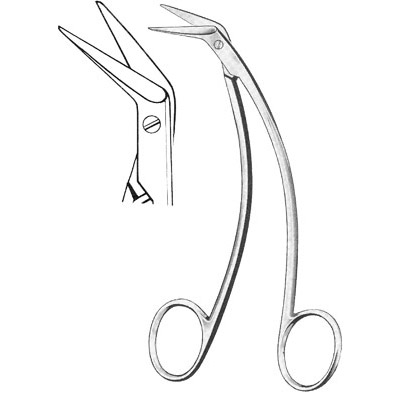 Cardiovascular Surgery