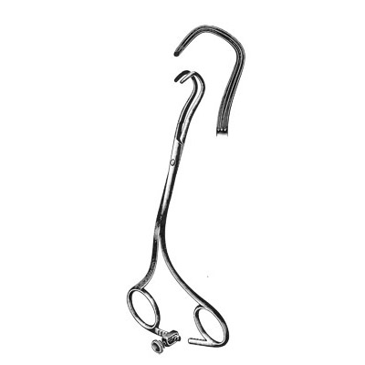 Cardiovascular Surgery
