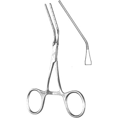 Cardiovascular Surgery