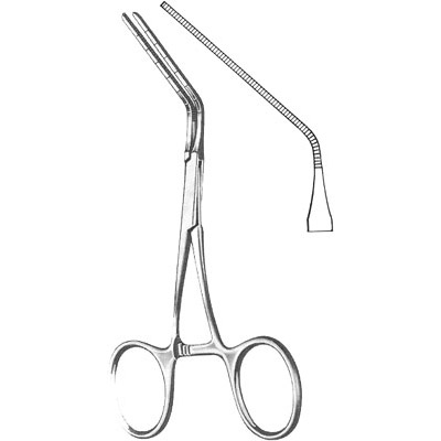 Cardiovascular Surgery