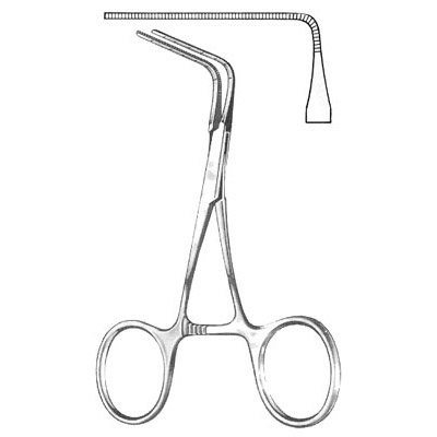 Cardiovascular Surgery