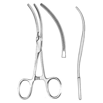 Cardiovascular Surgery