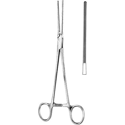 Cardiovascular Surgery