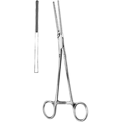 Cardiovascular Surgery