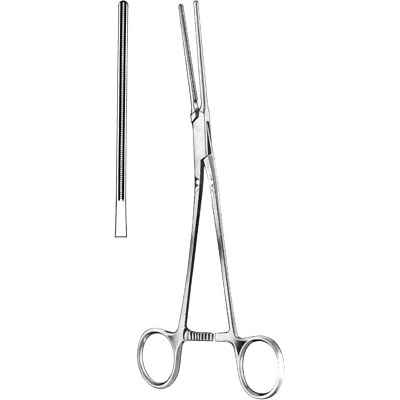 Cardiovascular Surgery