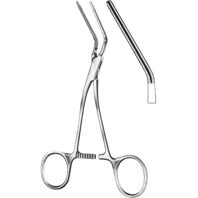 Cardiovascular Surgery