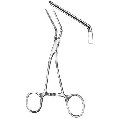 Cardiovascular Surgery