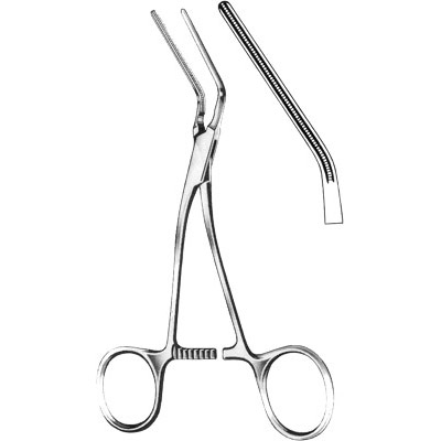 Cardiovascular Surgery