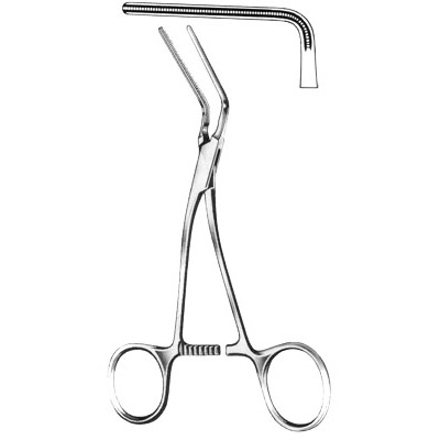 Cardiovascular Surgery