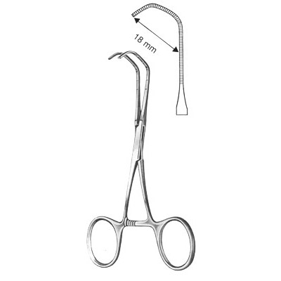 Cardiovascular Surgery