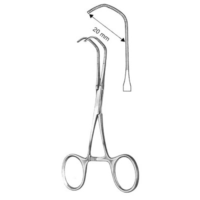 Cardiovascular Surgery