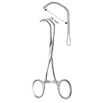 Cardiovascular Surgery
