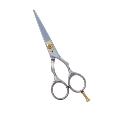 Hair Cutting Scissors
